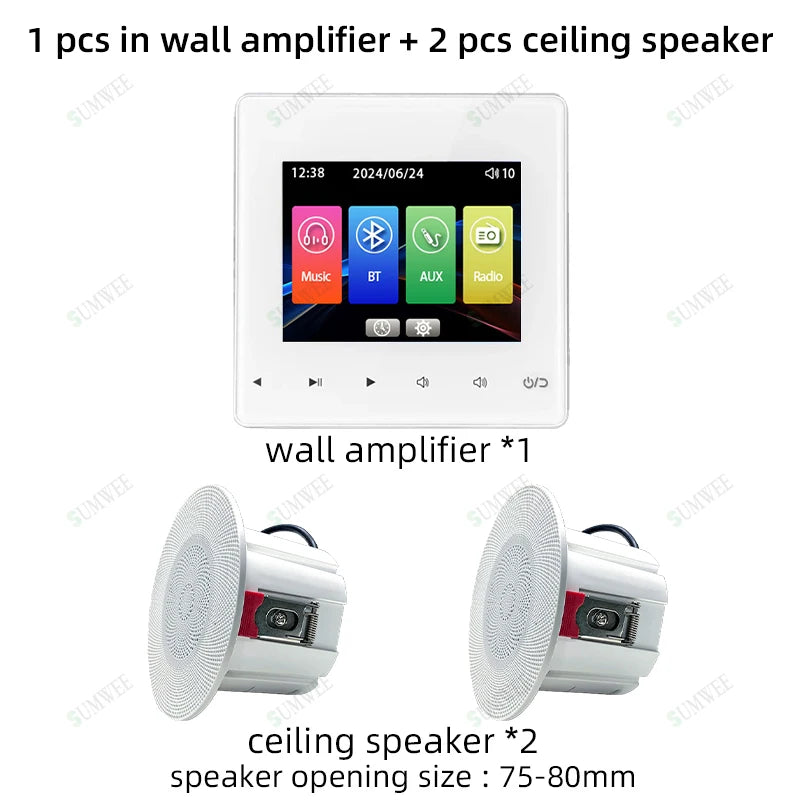 Home theater Background music system audio in wall power amplifier bluetooths player sound TF AUX control panel ceiling speakers